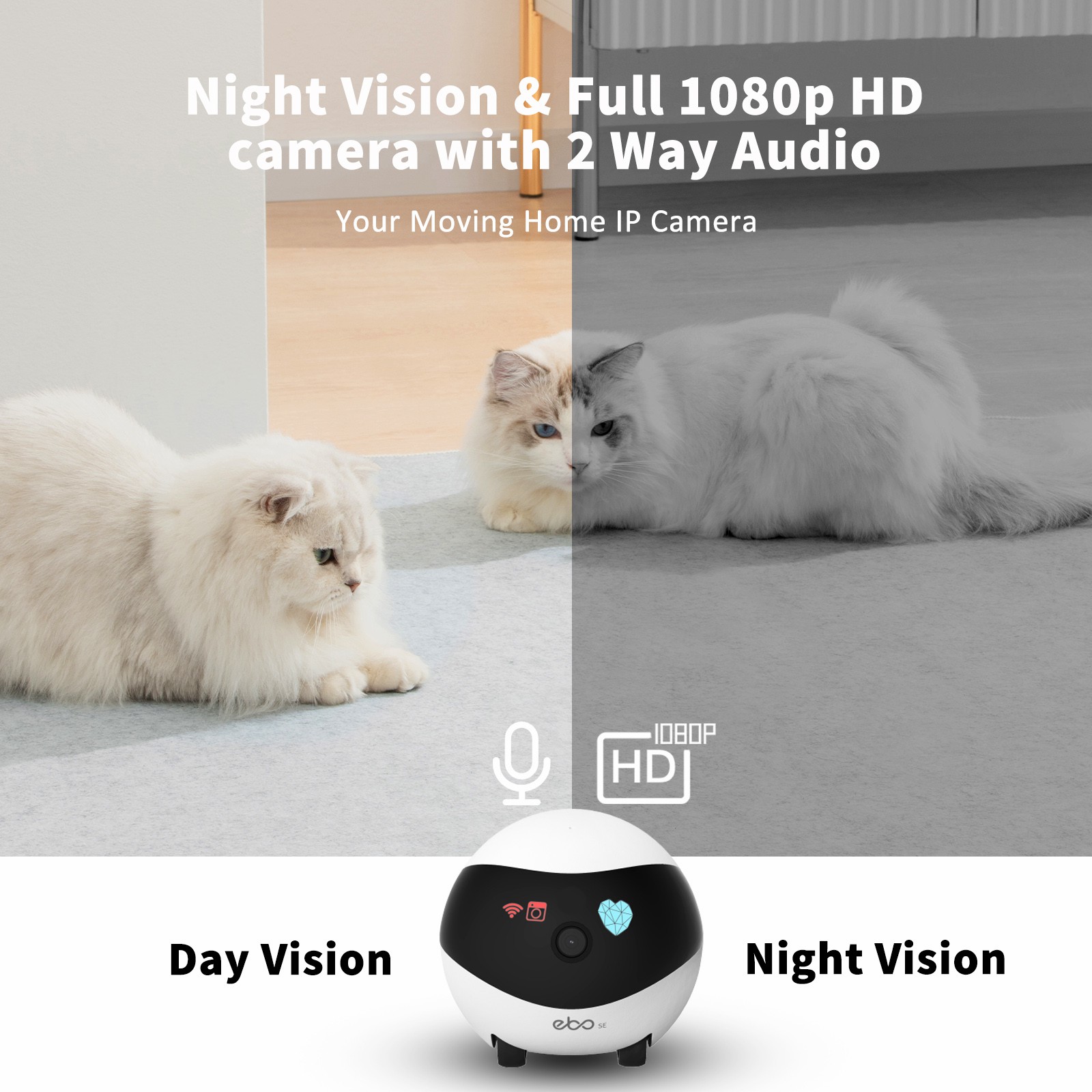 EBO SE Smart Home Robot Compan - Home Security Robot reseña y precio