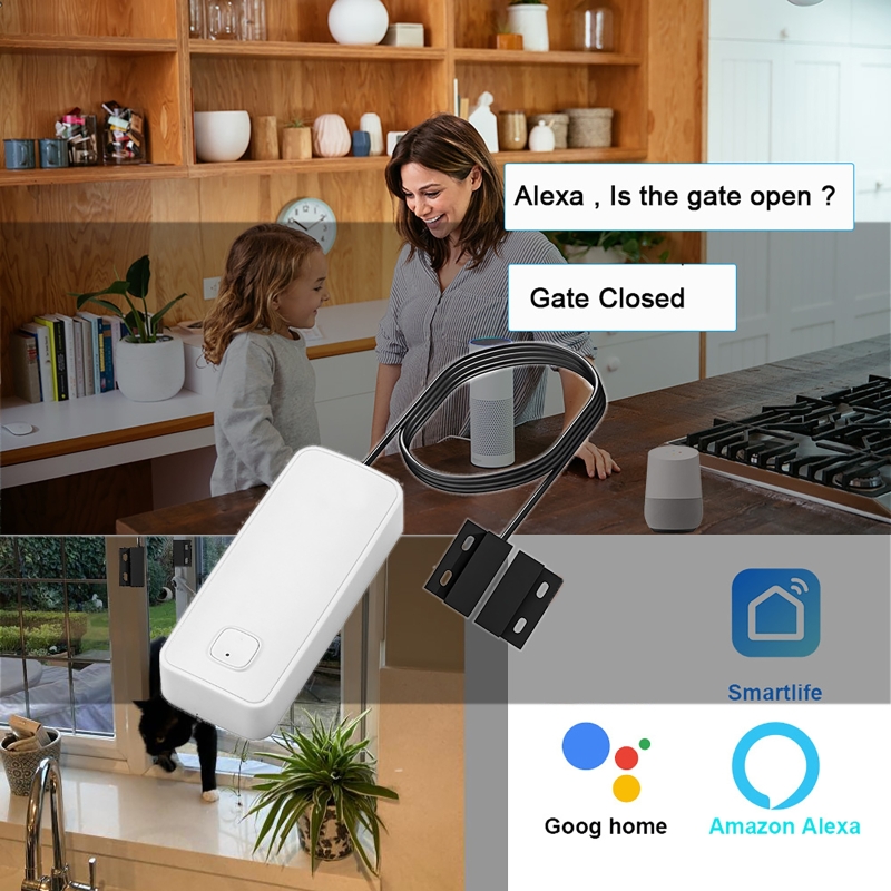 Detector magnético inteligente - Home Security With Ai reseña y precio