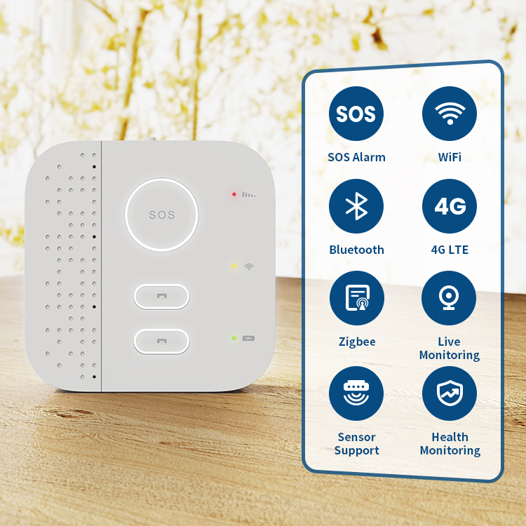 Sistema Inteligente de Monitor - Home Security For Seniors reseña y precio