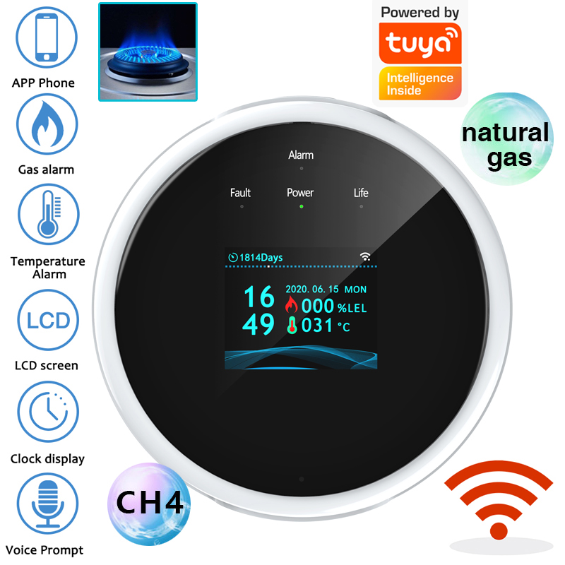Sensor de alarma de gas WiFi 2 - Home Security With Ai reseña y precio