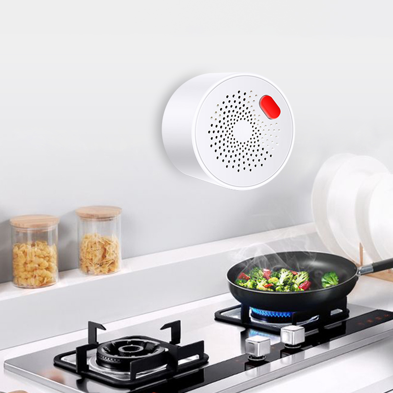 Tuya-Sensor de Gas Natural par - Home Security With Ai reseña y precio