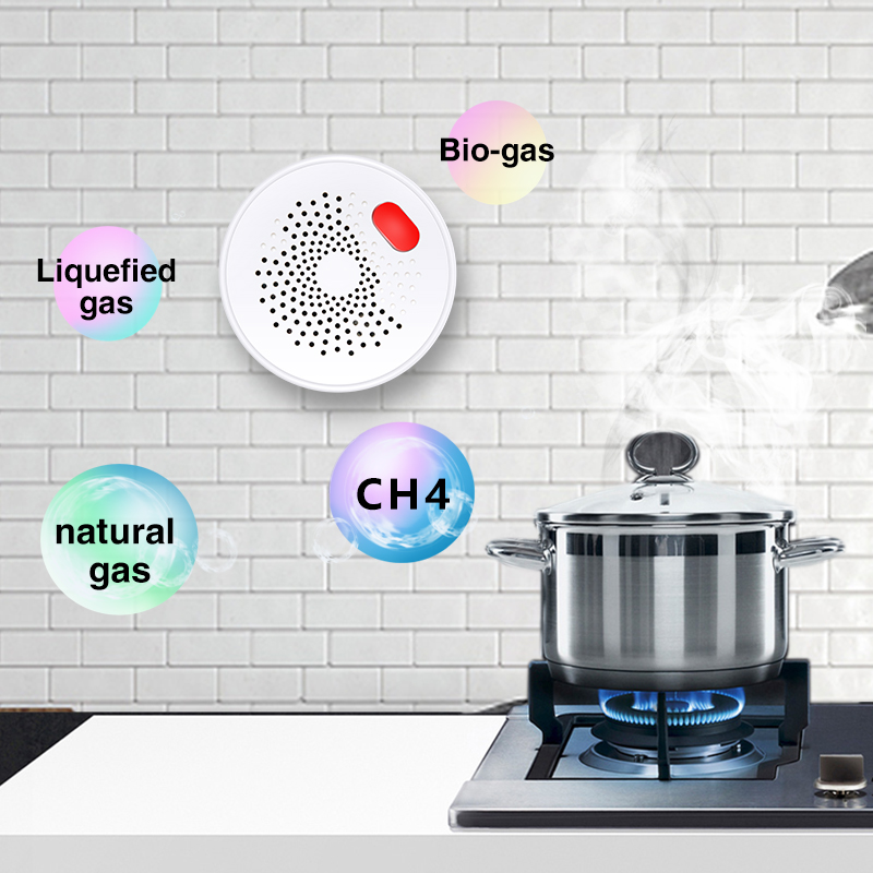 Tuya-Sensor de Gas Natural par - Home Security With Ai reseña y precio