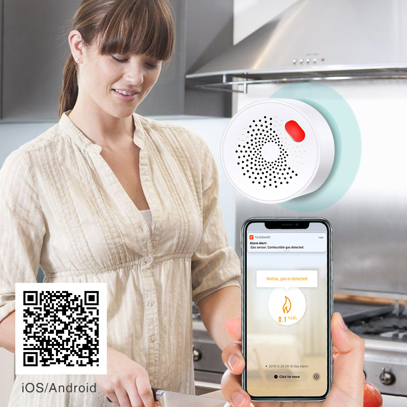 Tuya-Sensor de Gas Natural par - Home Security With Ai reseña y precio