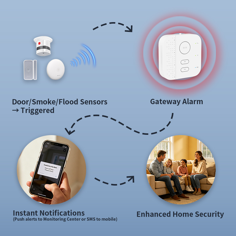 Hubs de Seguridad para el Hoga - Home Security For Seniors reseña y precio